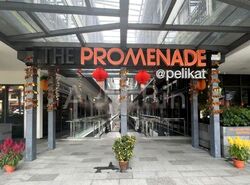 The Promenade@Pelikat (D19), Shop House #459569751